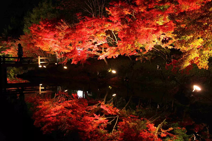なばなの里は紅葉の名所　錦秋の絶景！鏡池が大人気！（11月中旬頃～12月中旬頃 ）