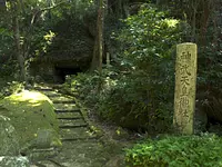 神内神社の樹叢