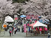 【2022年の祭りは中止】なめり湖 桜まつり