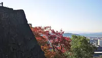 上野公園の紅葉
