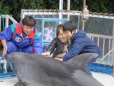 動物園に水族館！三重県で動物たちとふれあえる人気スポットを特集します♪