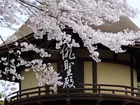 桜と俳聖殿