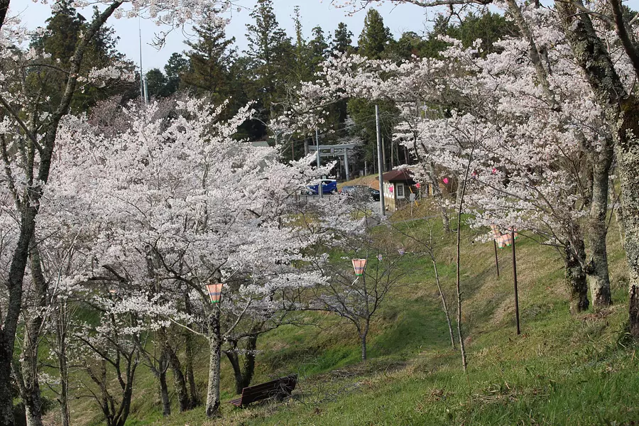 大村神社横の桜山公園