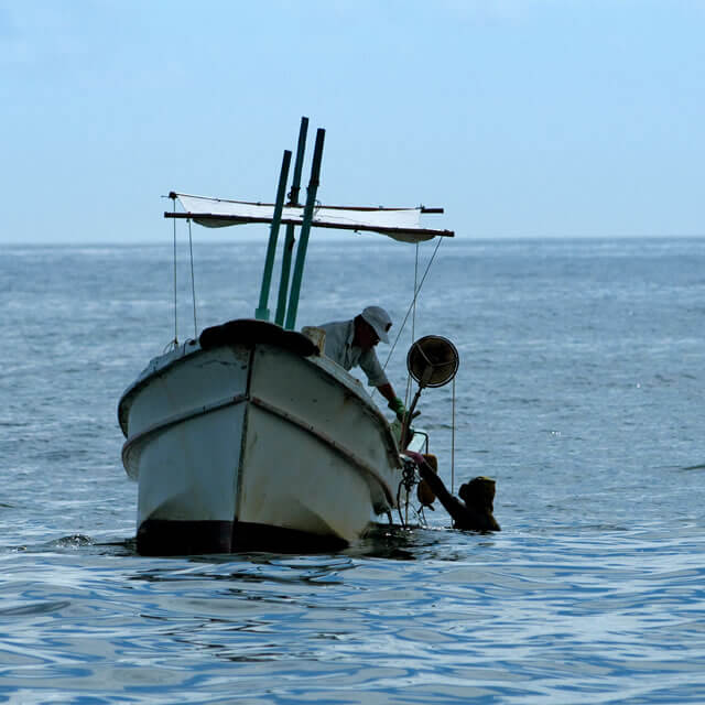 海女さんの数が減っている！？