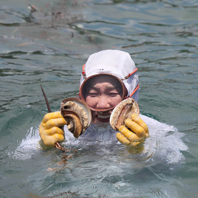 住在鳥羽為漁女加油吧!