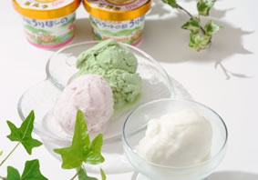 ふれあいの駅うりぼう