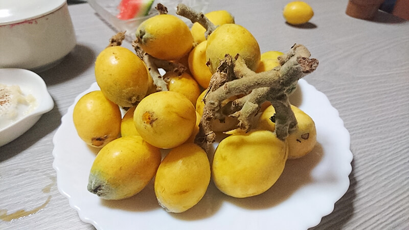 Freshly harvested loquats