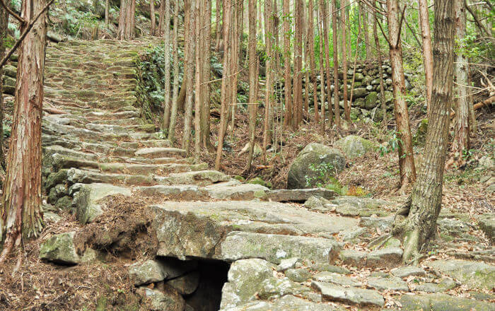 熊野古道（松本峠）