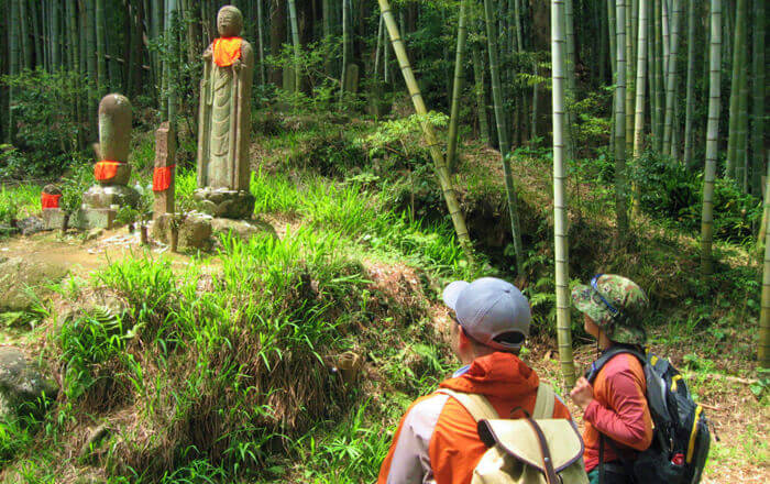 くまの体験企画