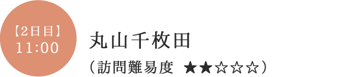 丸山千枚田