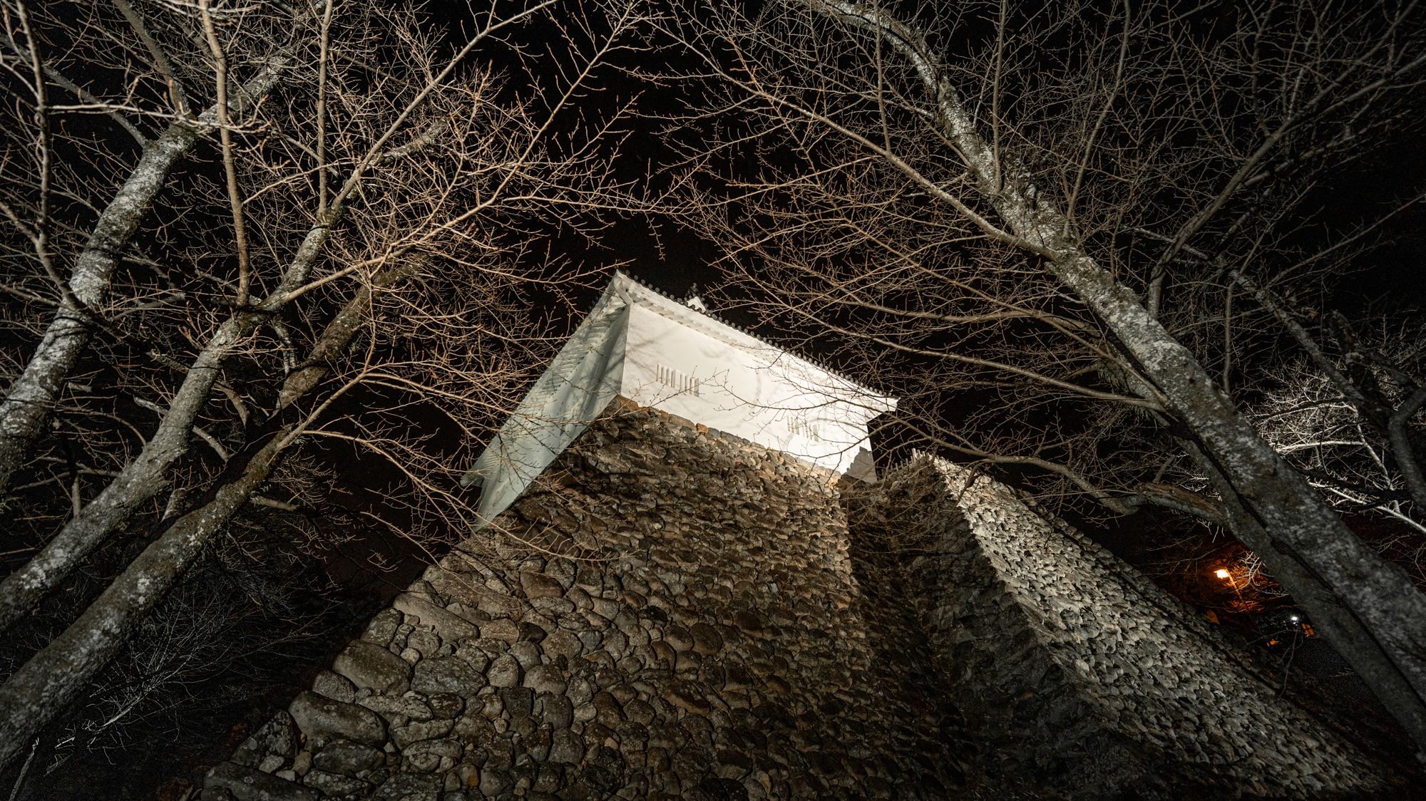 亀山市納涼大会