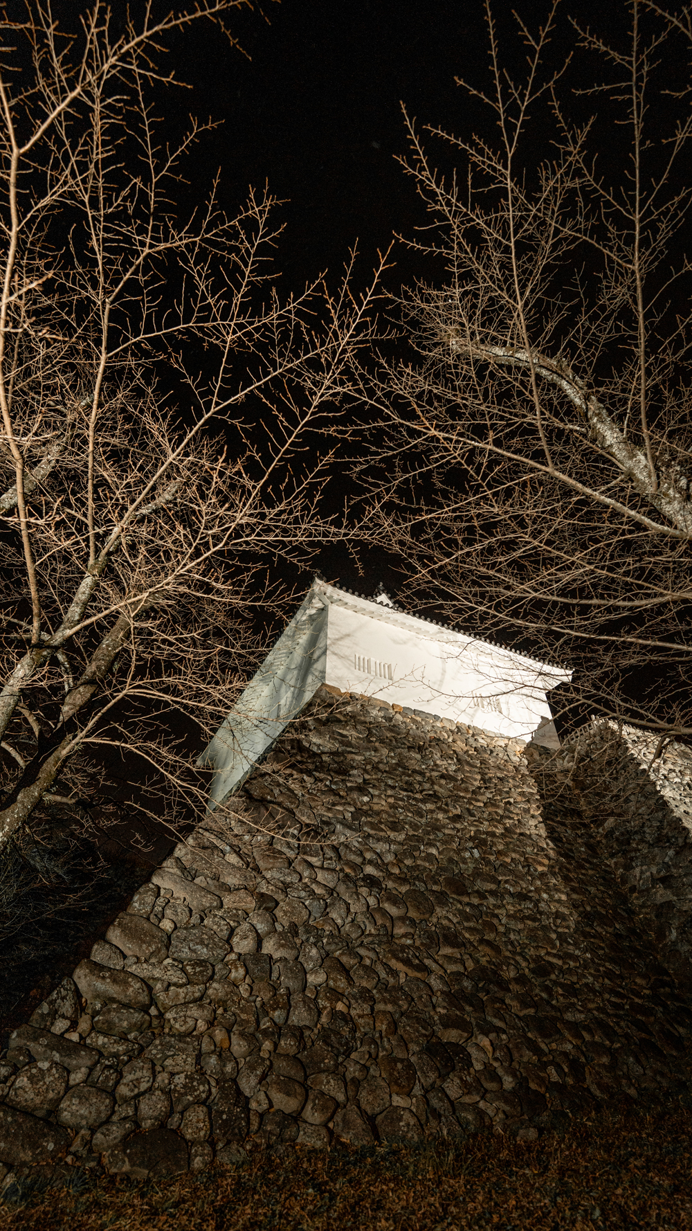 亀山市納涼大会