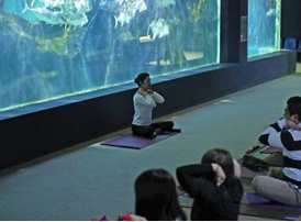 「早朝の夫婦岩YOGA体験＋ふれあい水族館」で癒され旅♪
