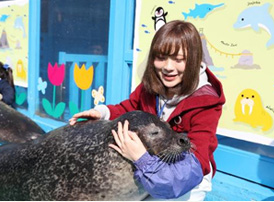 「早朝の夫婦岩YOGA体験＋ふれあい水族館」で癒され旅♪