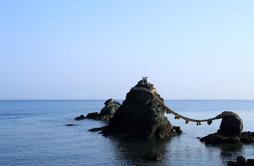 早朝の夫婦岩ヨガ体験とふれあい水族館