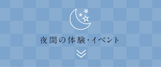 夜間の体験・イベント