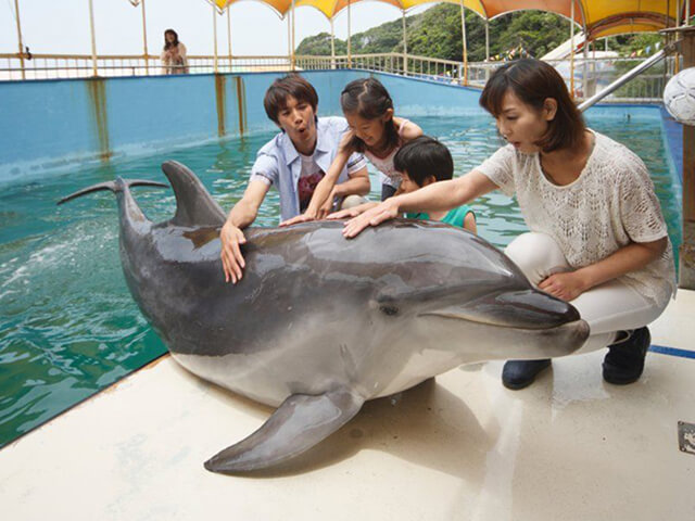 鳥羽湾めぐりとイルカ島