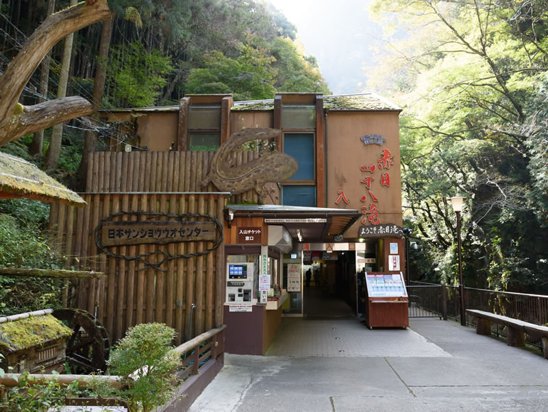 日本サンショウウオセンター