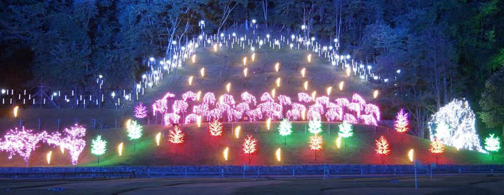 美しいイルミネーションを眺めながらのディナーに気分も華やぐ。