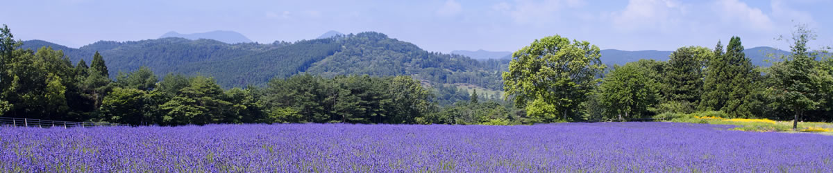 メナード青山リゾート