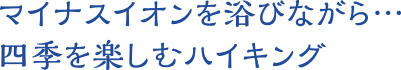 マイナスイオンを浴びながら…四季を楽しむハイキング