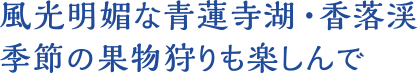 風光明媚な青蓮寺湖・香落渓　季節の果物狩りも楽しんで