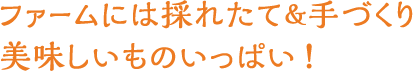 ファームには採れたて＆手作り　美味しいものいっぱい！