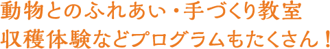 動物とのふれあい・手作り教室　収穫体験などプログラムもたくさん！