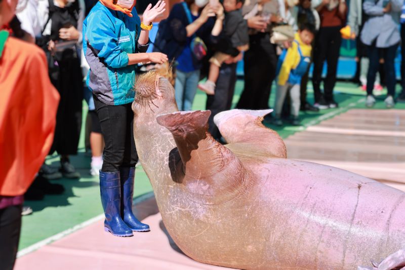 家族で回る！伊勢神宮・志摩のテーマパーク