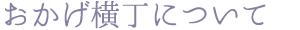 おかげ横丁について
