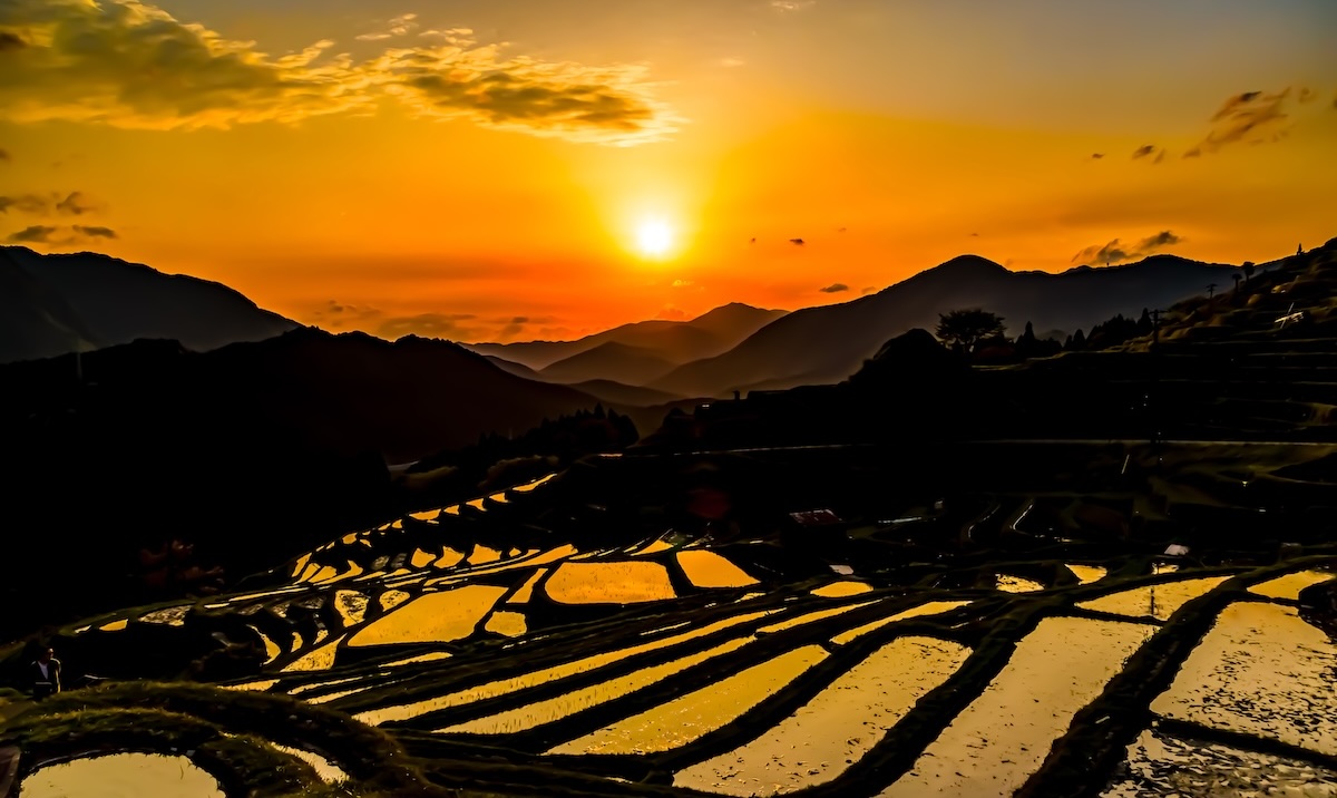 丸山千枚田