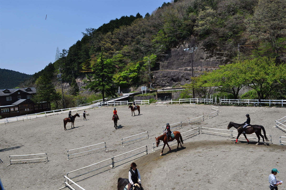 乗馬体験