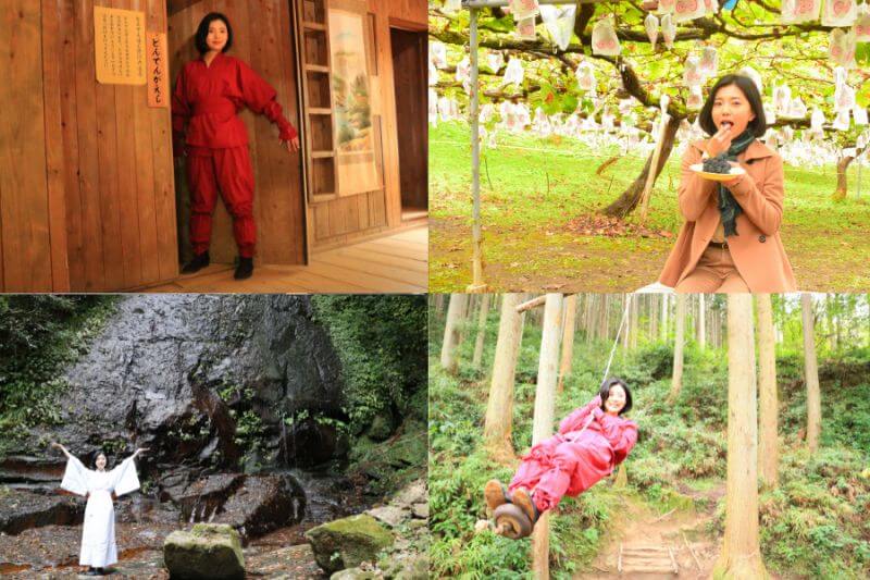 モデルコースイメージ