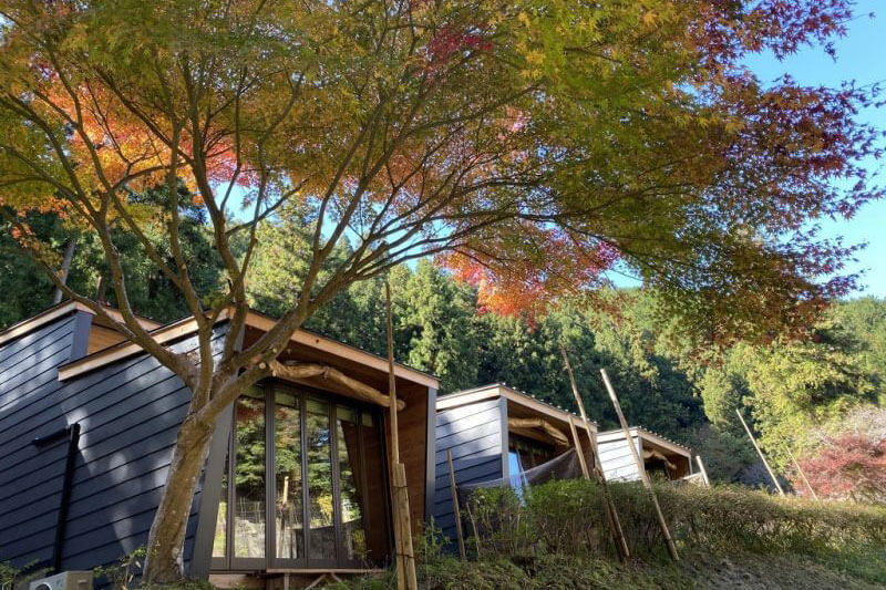 おすすめの理由