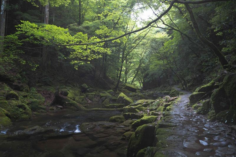 ビフォー＆アフターワーク