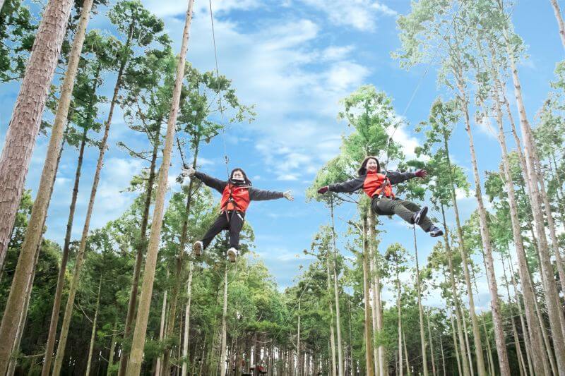 樹上アスレチック