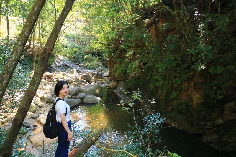 モデルコースイメージ