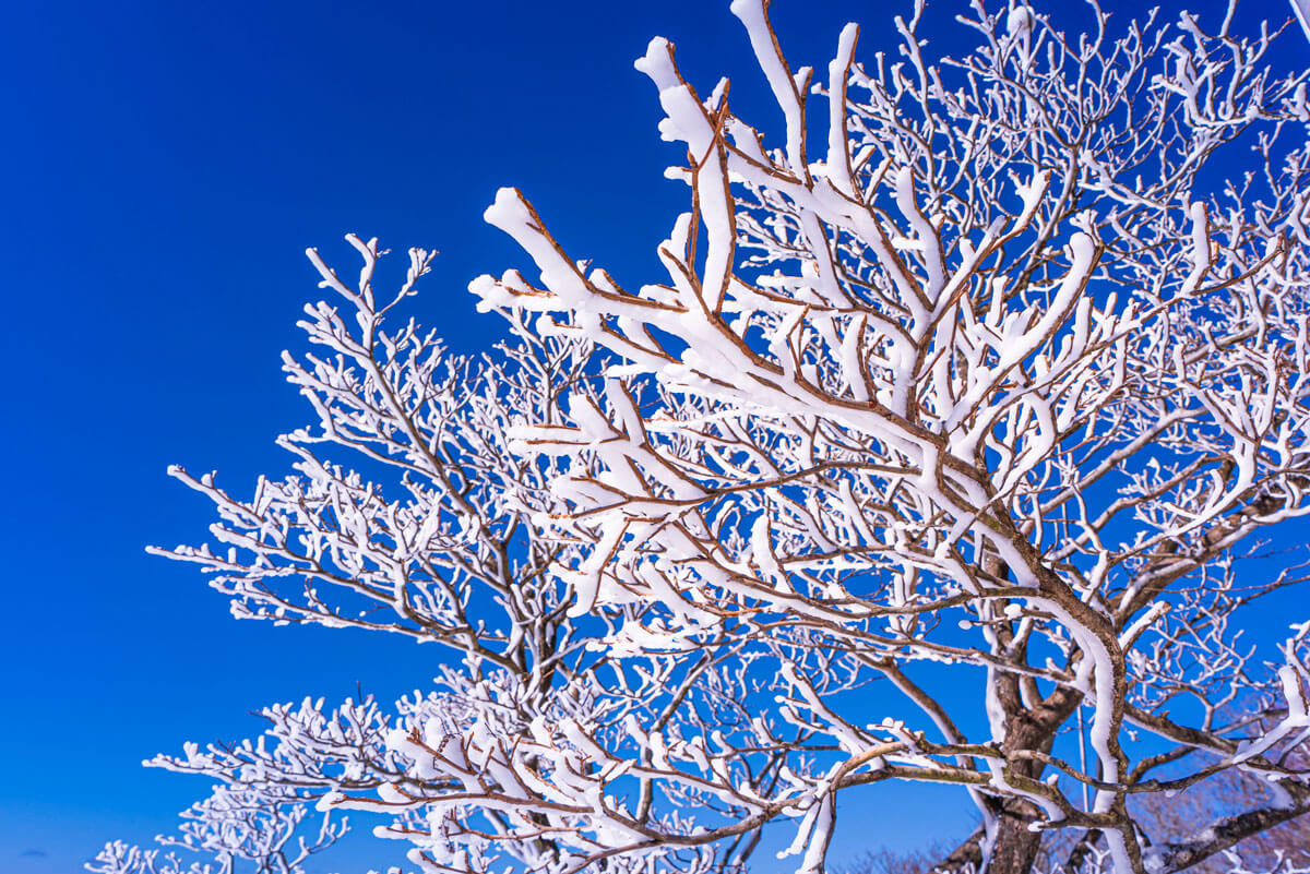 四季折々の風景
