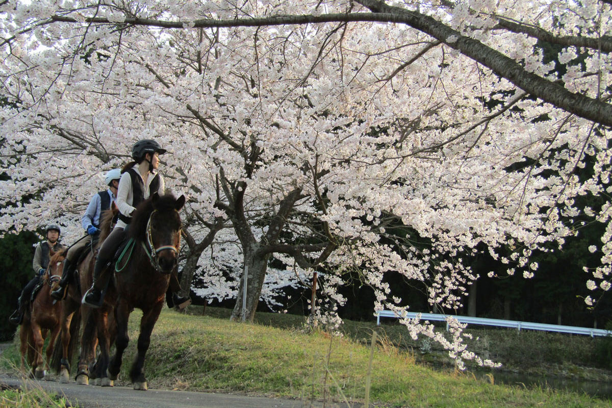 ビフォー＆アフターワーク