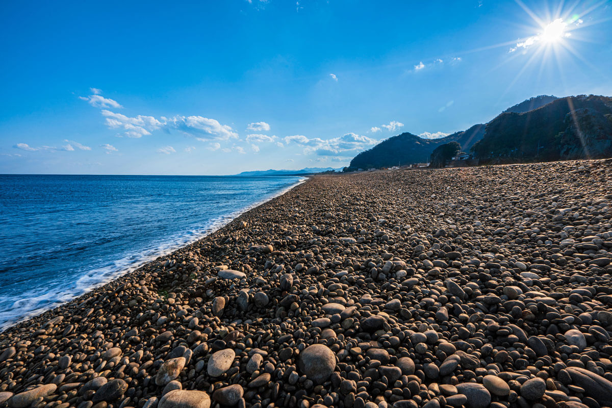 おすすめの理由