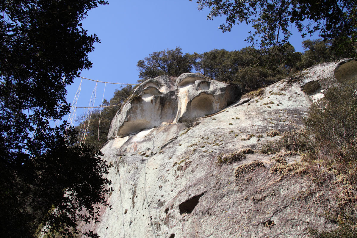 ビフォー＆アフターワーク