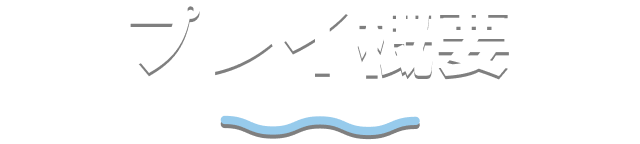プレイ概要