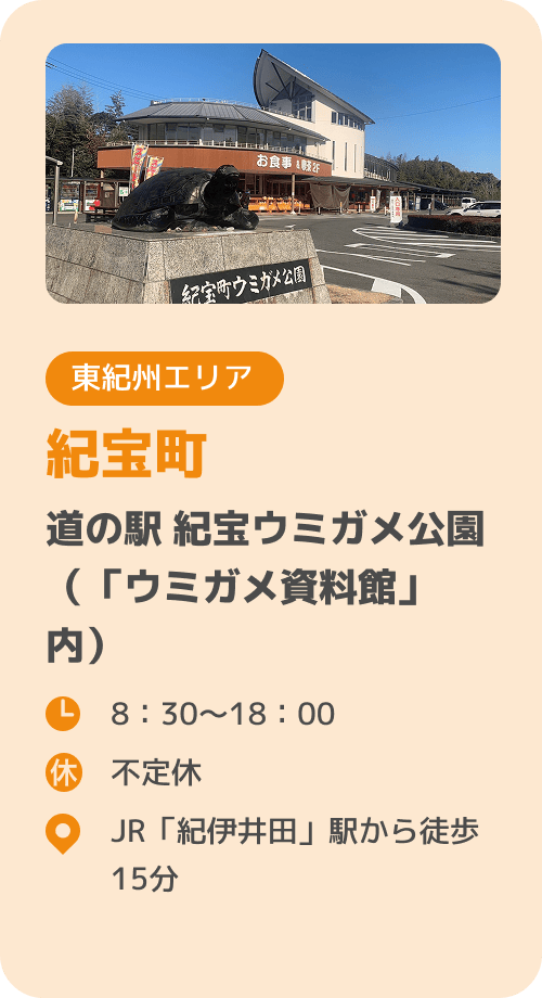 紀宝町 道の駅紀宝ウミガメ公園（「ウミガメ資料館」内）