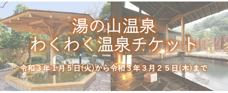 Exciting hot spring ticket