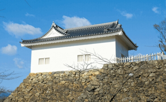 Kameyama Castle