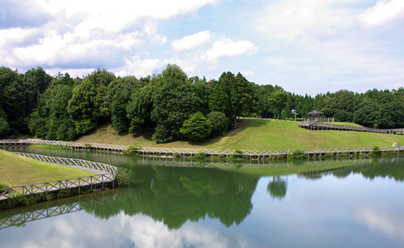 Parque del Sol Kameyama