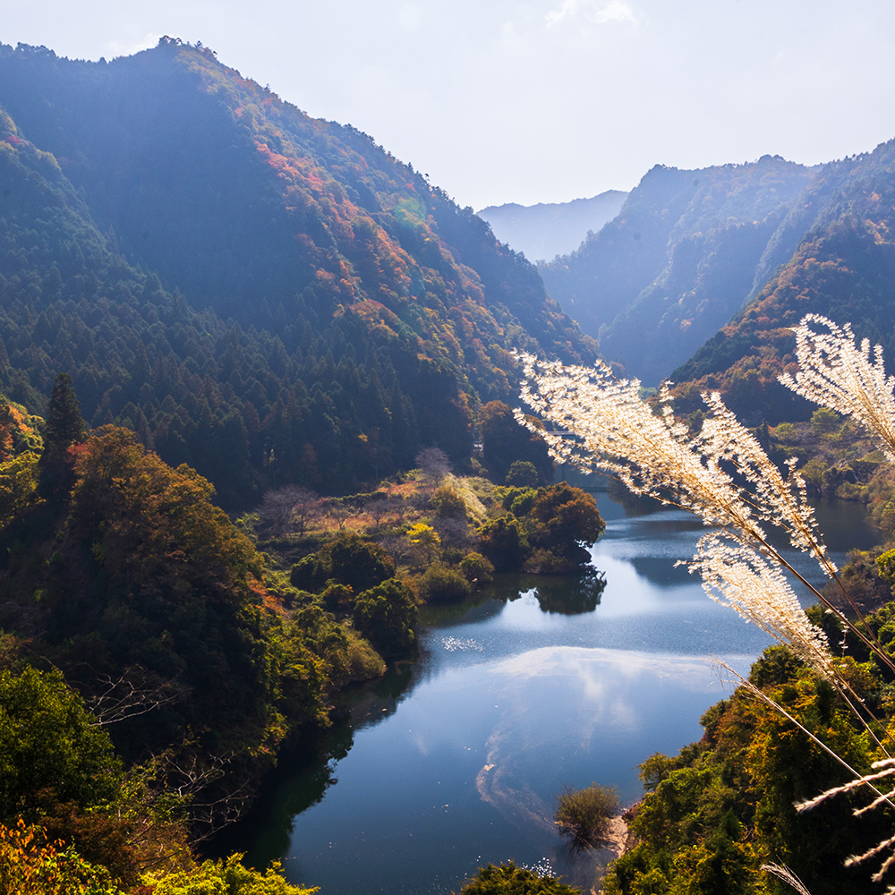 青蓮寺湖展望台