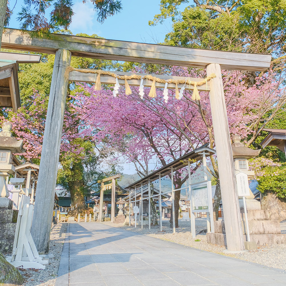 尾鷲神社