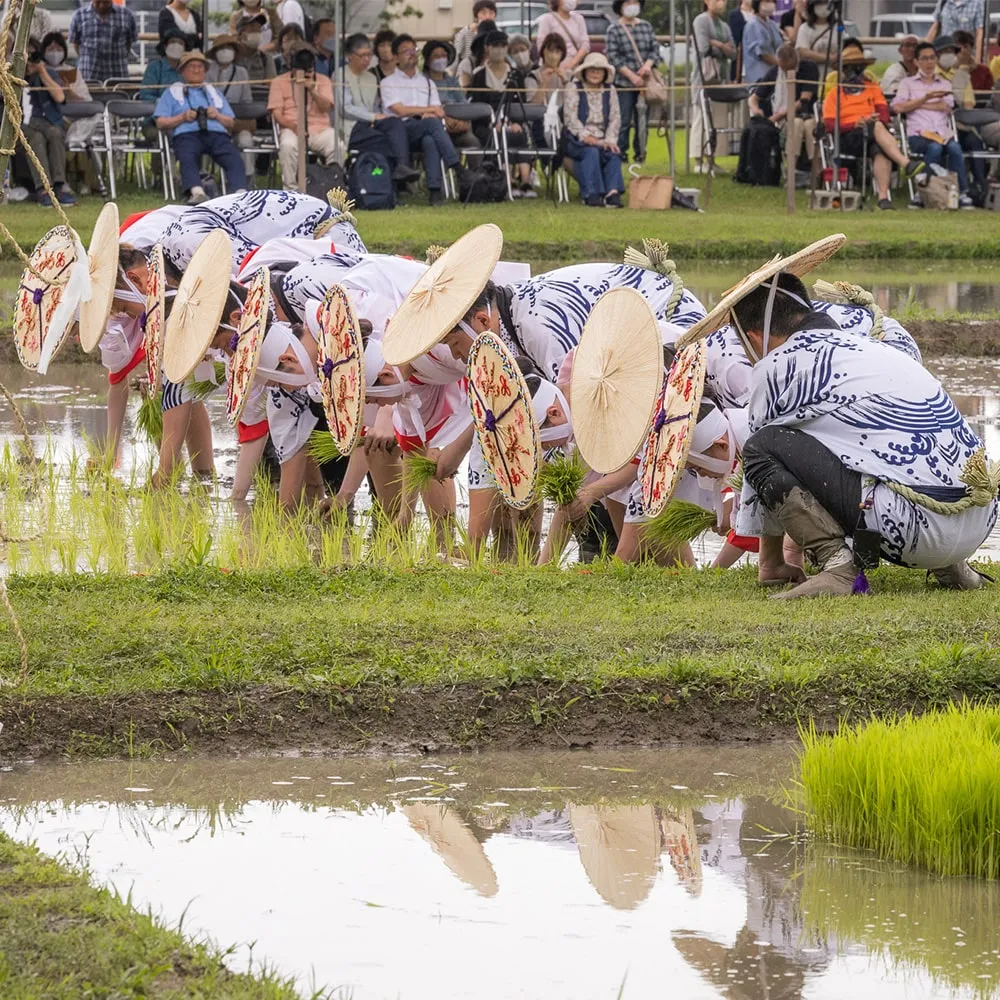 Festival Izawanomiya Omita, ciudad de Shima