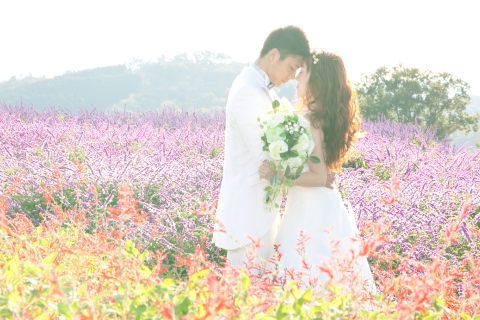 メナード青山リゾート画像②